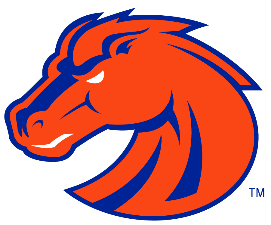 Boise State Broncos 2002-2012 Secondary Logo v4 iron on transfers for clothing